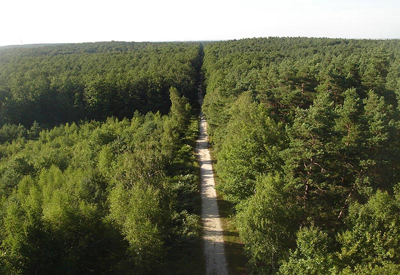 Орлеанский лес - самый обширный во Франции