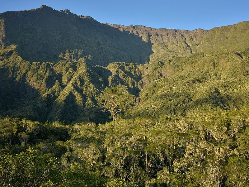 Национальный парк Реюньон (Parc national de La Réunion)
