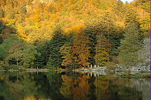 Озеро Фишбёдль (Эльзас)