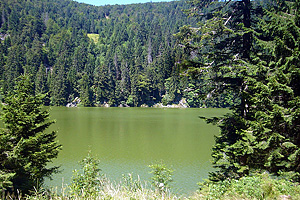 Озеро Вер у де Сульцеран  (Эльзас)