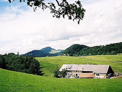 Гора Вайссенштайн (Weissenstein): 1395 м