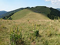 Гора Виссгрю (Вогезы)