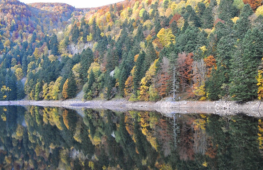 Озеро Альтенвее (Эльзас) осенью