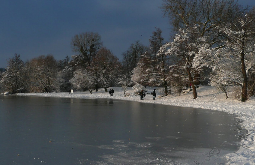 Озеро Багжерсе (Эльзас, Франция) зимой