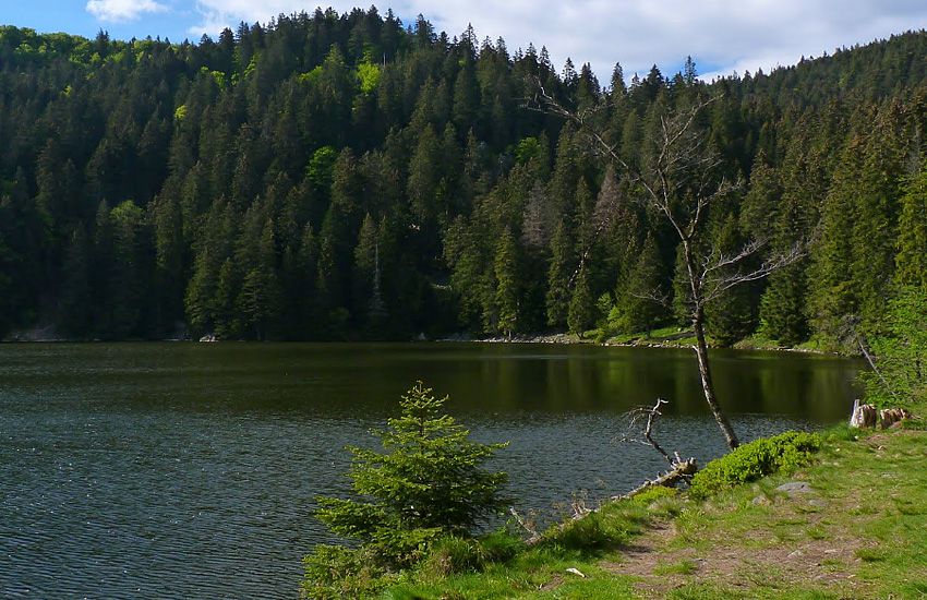 Озеро Вер у де Сульцеран <br>(Lac Vert ou de Soultzeren)