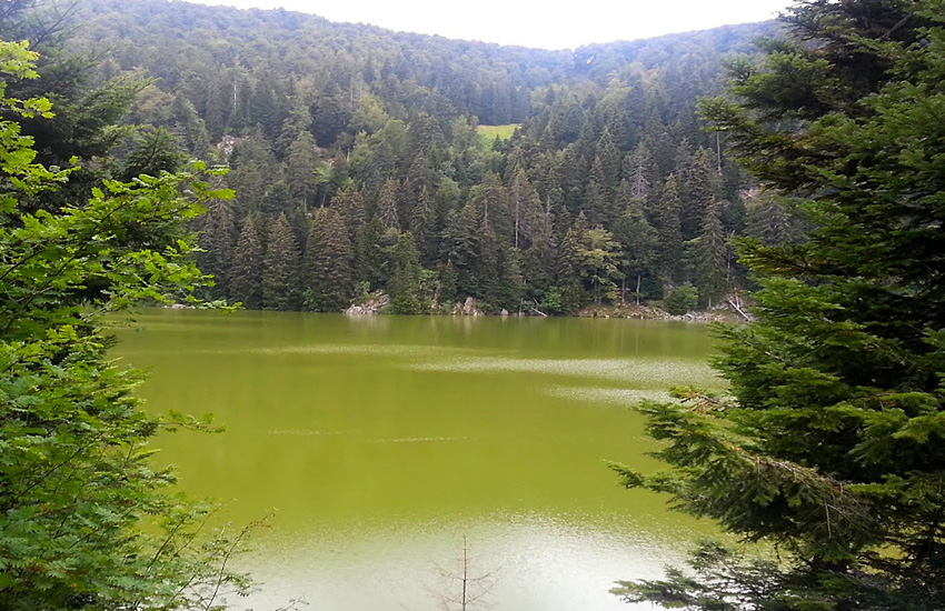 Озеро Вер у де Сульцеран <br>(Lac Vert ou de Soultzeren)