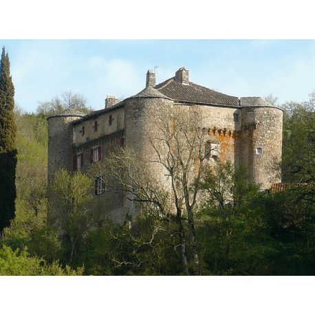 Замок Монталегре (Château de Montalegre)