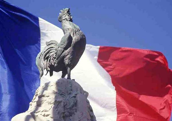 Галльский петух во Франции: описание и значение